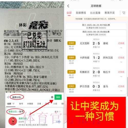 世界杯竞猜热潮：私下投注方式与网络下注趋势深度解读